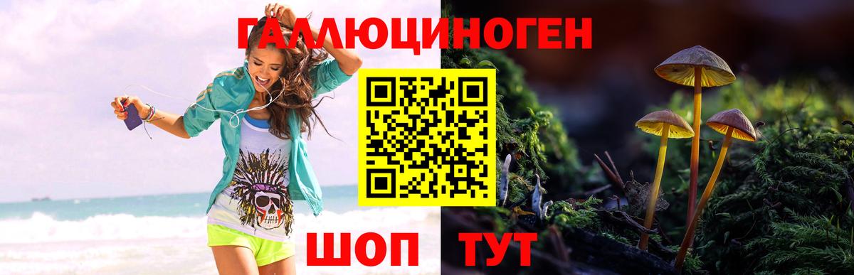 Галлюциногенные грибы прущие грибы  Галлюциногенные грибы MAGIC MUSHROOMS  Вход с VPN  Горячий Ключ 